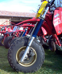 collection
