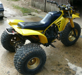 tri-z 250 1985