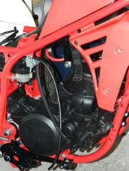 tri-z 250